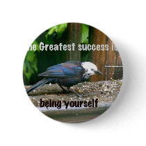white-headed starling button