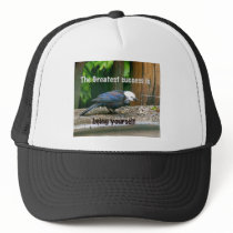 white-headed starling hats
