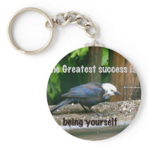 white-headed starling keychain
