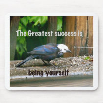 white-headed starling mousepads