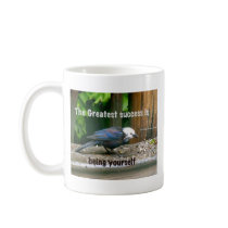 white-headed starling mug