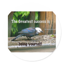 white-headed starling round sticker