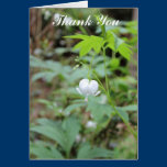White Heart Flower Thank You Card cards