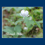 White Heart Thank You Postcard postcards