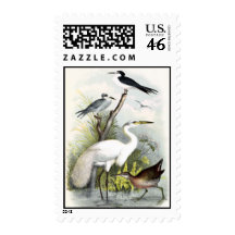 White Heron Bird Stamps