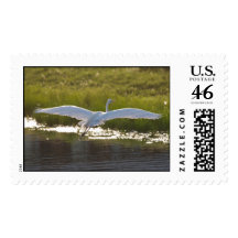 White Heron Landing Postage Stamp