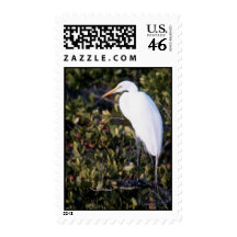 White Heron Postage