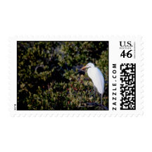 White Heron Postage Stamp