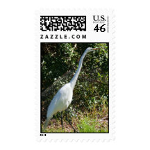 White Heron Postage Stamps