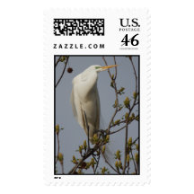 White Heron Roosting Stamp