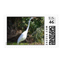 White Heron Stamp