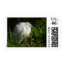 White Heron Stamps