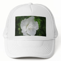 White Hibiscus 1 Glamour hats by LivingNature White Hibiscus 1 Glamour hats