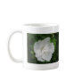 White Hibiscus 1 Glamour