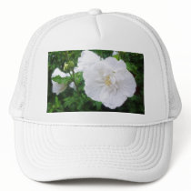 White Hibiscus 2 Grace hats by LivingNature White Hibiscus 2 Grace hats