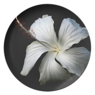White hibiscus against black.jpg plate