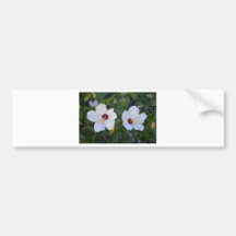 White Hibiscus. Bumper Sticker
