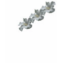 White Hibiscus Flower Cotton T Shirt shirt