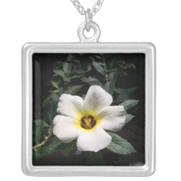 White hibiscus flower red center dark background necklace