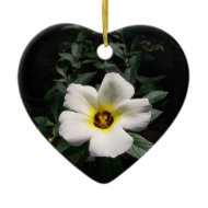 White hibiscus flower red center dark background ornament
