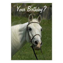 White Horse Birthday Card