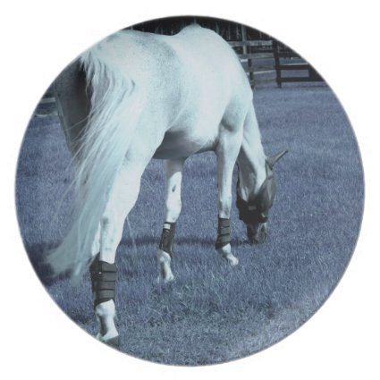 white horse blue grazing head down in grass dinner plate