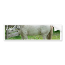 White Horse bumper stickers