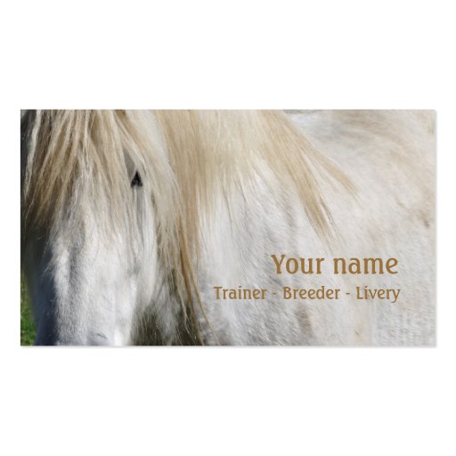 White horse business card (front side)