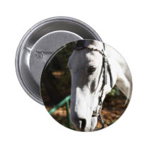 White Horse Button buttons