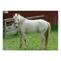 White Horse Greeting Cards