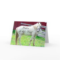 White Horse Cards