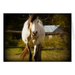 White Horse Card