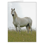 White Horse Card