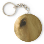 White Horse Closeup Key Chain