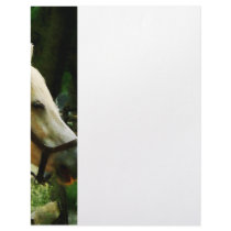 White Horse Closeup Letterhead