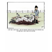White Horse Comic t-shirts by PaintingPony White Horse Comic t-shirts