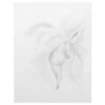 White Horse Head Letterhead by Lotacats White Horse Head Letterhead