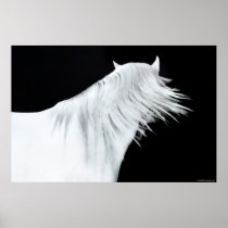 White Horse Head Print