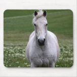 White Horse in Field Mousepads