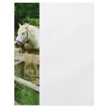 White Horse in Paddock Flyers