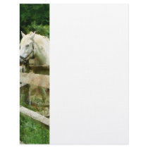 White Horse in Paddock Personalized Letterhead