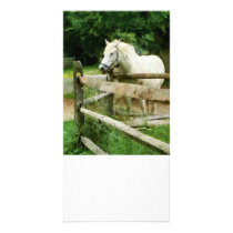 White Horse in Paddock Personalized Photo Card