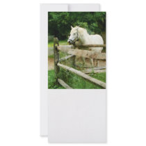 White Horse in Paddock Custom Rack Cards