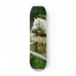 White Horse in Paddock Skate Board