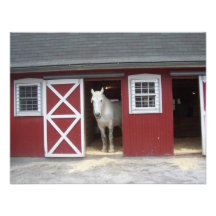 White Horse In Red Bard Announcement