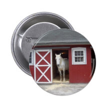 White Horse In Red Bard Pin