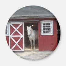 White Horse In Red Bard Refrigerator Magnets