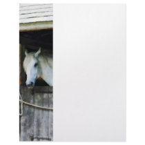 White Horse in Stable Letterhead