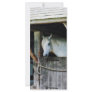 White Horse in Stable Custom Rack Card