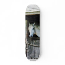White Horse in Stable Skate Board
